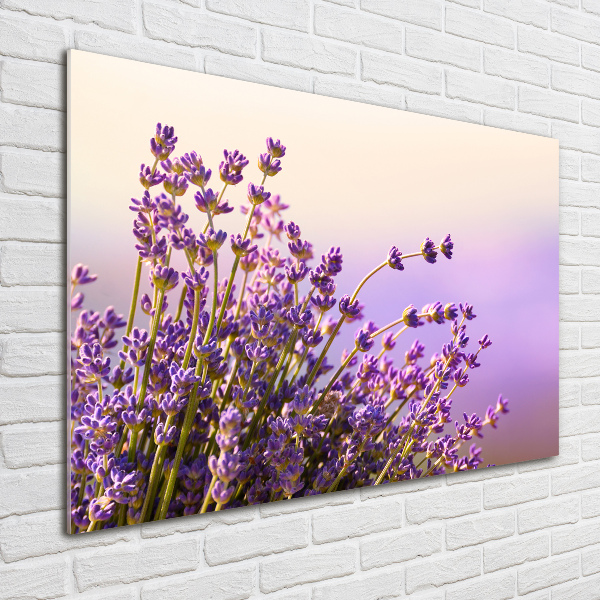 Cuadro metacrilato horizontal Lavanda