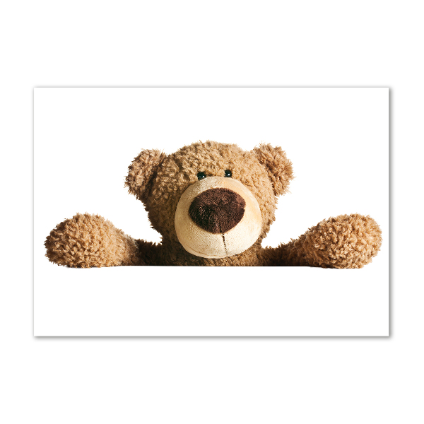 Cuadro metacrilato horizontal Oso de peluche