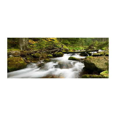 Cuadro acrílico horizontal Arroyo Olczyski