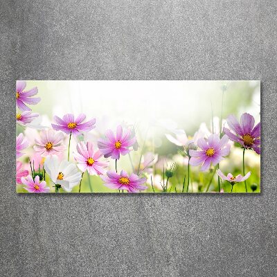 Foto en metacrilato horizontal Flores en el prado