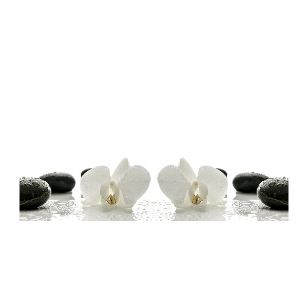 Cuadro acrílico horizontal Orquídea