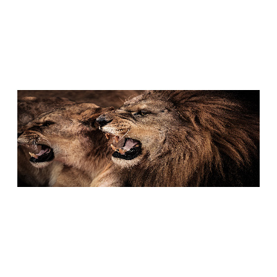 Cuadro acrílico horizontal Leones rugientes