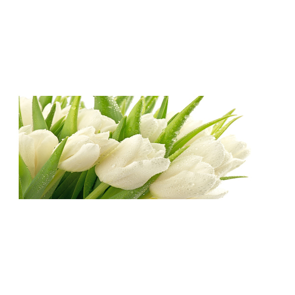 Pintura en acrílico horizontal tulipanes blancos