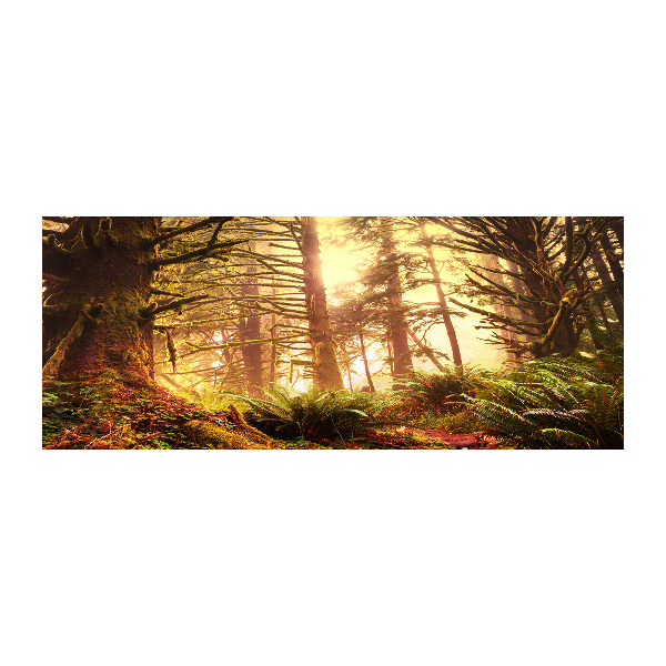 Cuadro metacrilato horizontal Selva tropical