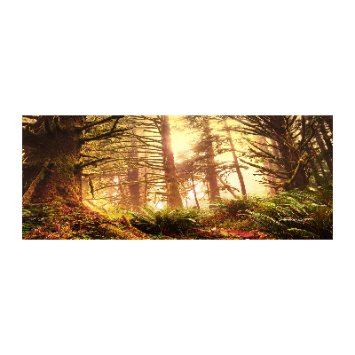 Cuadro metacrilato horizontal Selva tropical