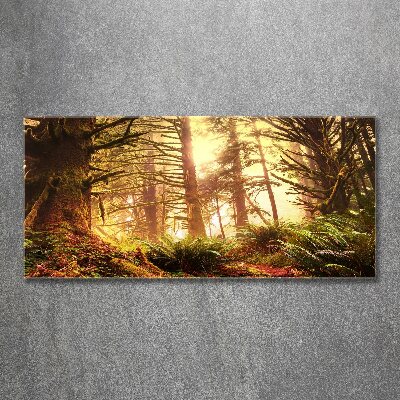 Cuadro metacrilato horizontal Selva tropical