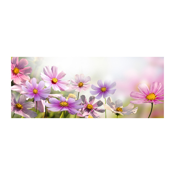 Obraz zdjęcie szkło akryl Kwiaty na łące