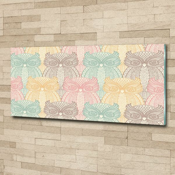 Cuadro metacrilato horizontal Búhos