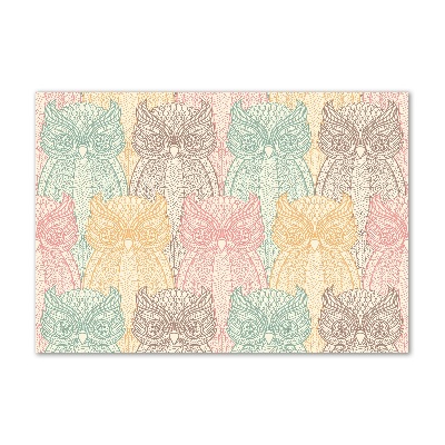 Cuadro metacrilato horizontal Búhos