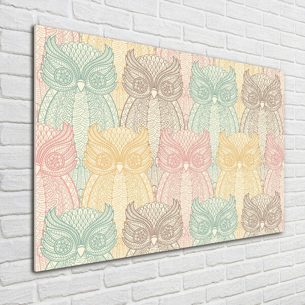 Cuadro metacrilato horizontal Búhos