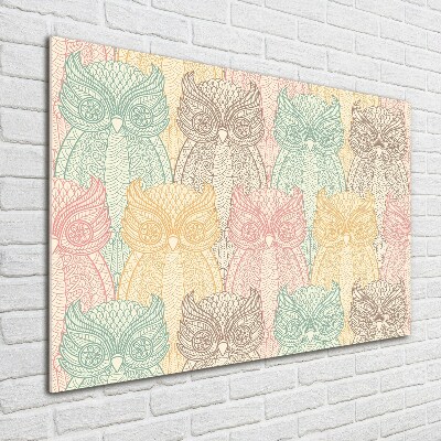 Cuadro metacrilato horizontal Búhos