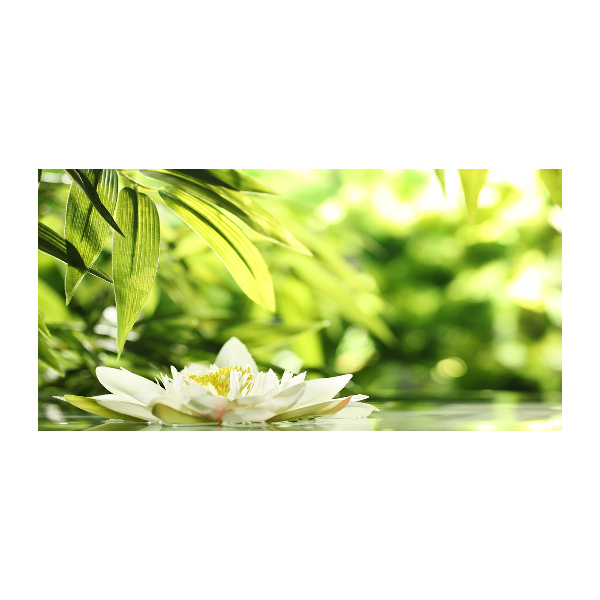 Obraz zdjęcie szkło akryl Lilia wodna