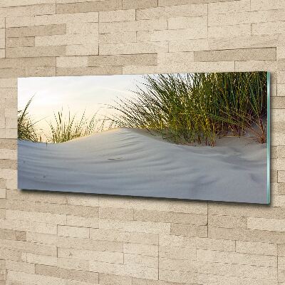 Obraz zdjęcie szkło akryl Nadmorskie wydmy
