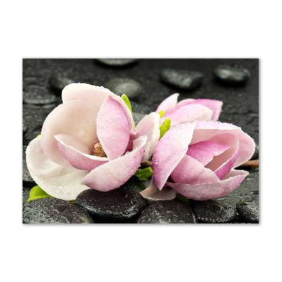 Cuadro acrílico horizontal Piedra zen de magnolia