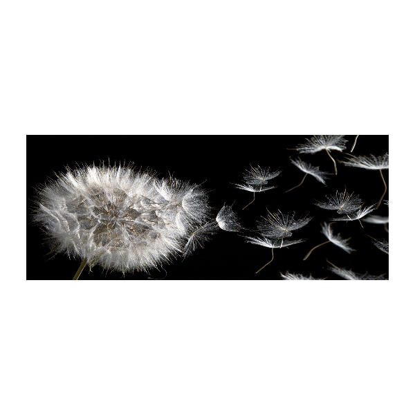 Pintura en acrílico horizontal Diente de león