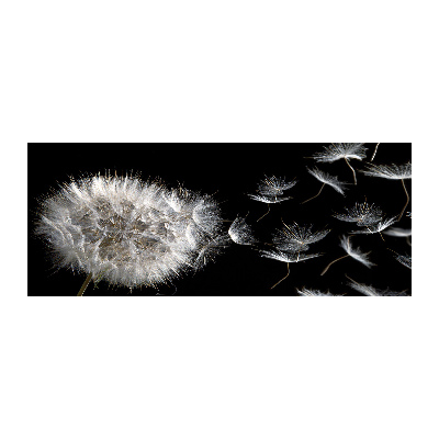 Pintura en acrílico horizontal Diente de león