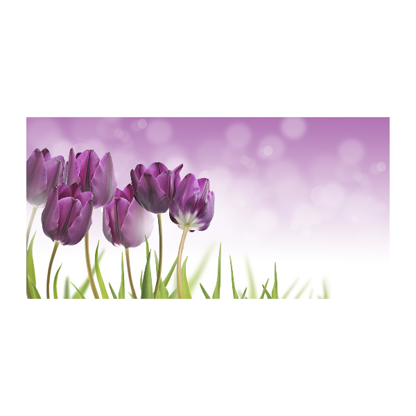 Cuadro metacrilato horizontal tulipanes morados