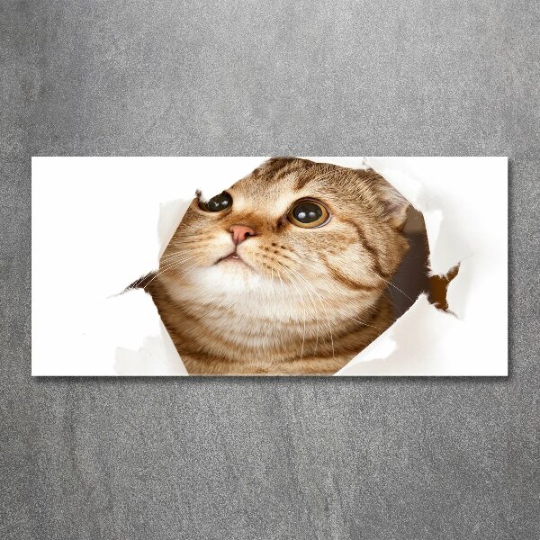Pintura en acrílico horizontal Gato