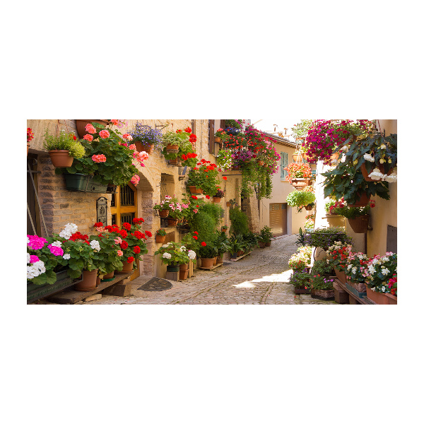 Foto en metacrilato horizontal Una calle con encanto