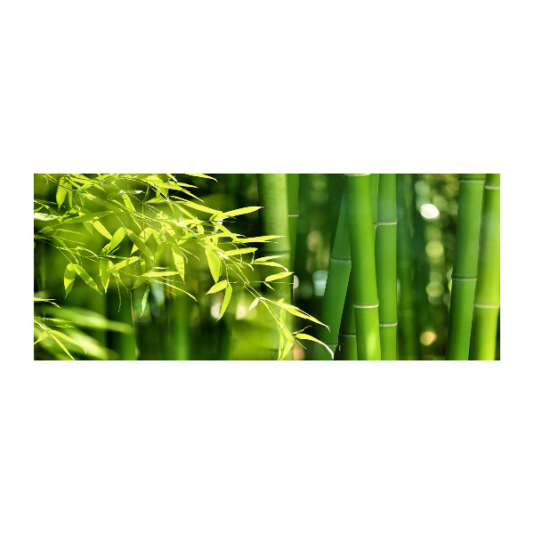Foto en metacrilato horizontal Bambú