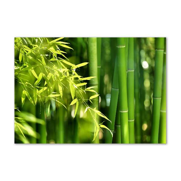 Foto en metacrilato horizontal Bambú