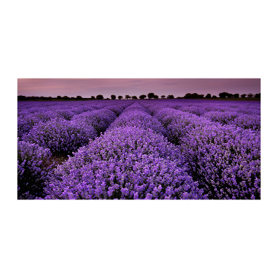 Pintura en acrílico horizontal campo de lavanda