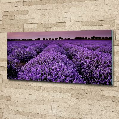 Pintura en acrílico horizontal campo de lavanda