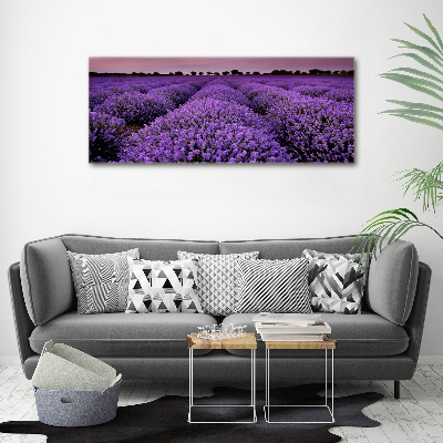 Pintura en acrílico horizontal campo de lavanda