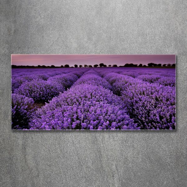 Pintura en acrílico horizontal campo de lavanda