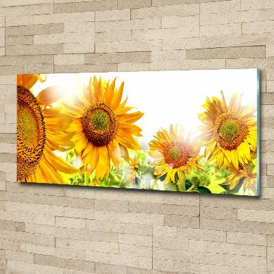 Cuadro metacrilato horizontal Girasoles
