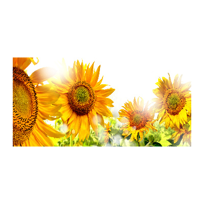 Cuadro metacrilato horizontal Girasoles