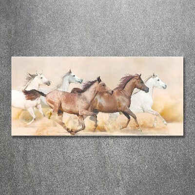 Cuadro acrílico horizontal Caballos al galope