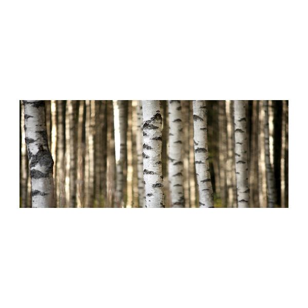 Pintura en acrílico horizontal Abedules