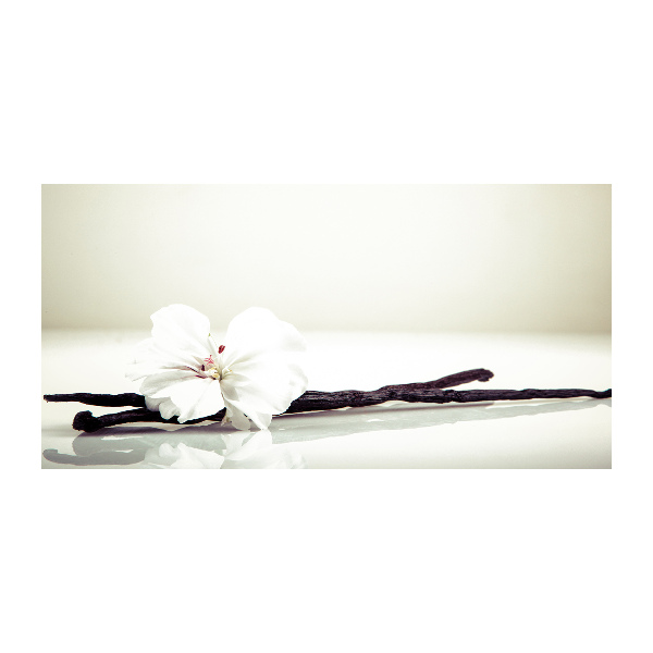 Cuadro metacrilato horizontal Vaina de vainilla