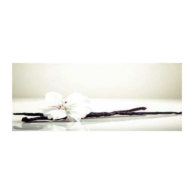 Cuadro metacrilato horizontal Vaina de vainilla