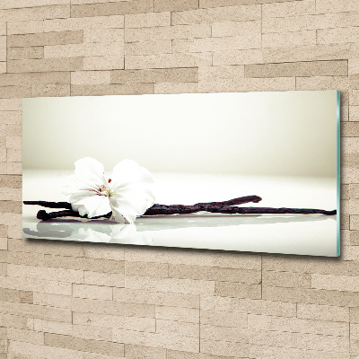 Cuadro metacrilato horizontal Vaina de vainilla