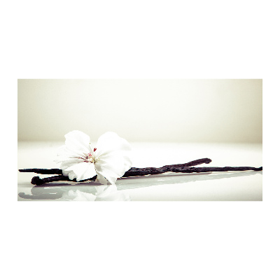 Cuadro metacrilato horizontal Vaina de vainilla