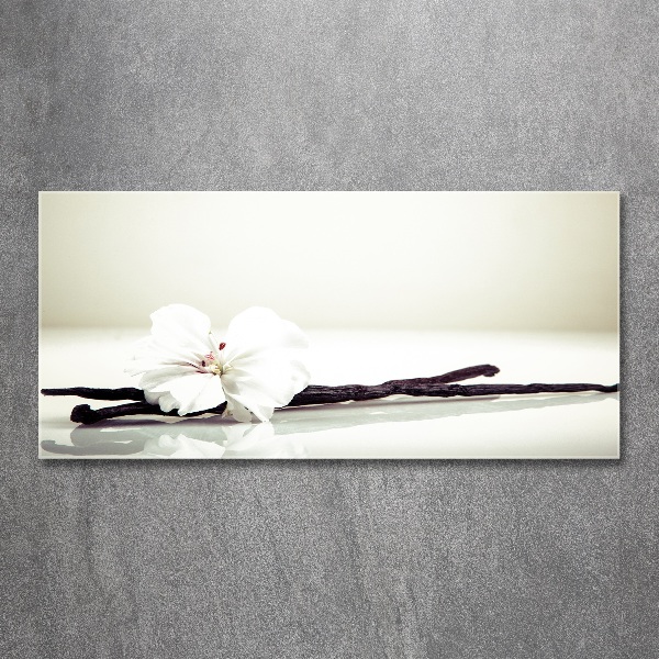 Cuadro metacrilato horizontal Vaina de vainilla