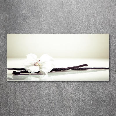 Cuadro metacrilato horizontal Vaina de vainilla