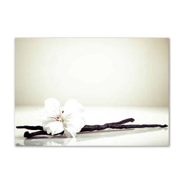 Cuadro metacrilato horizontal Vaina de vainilla