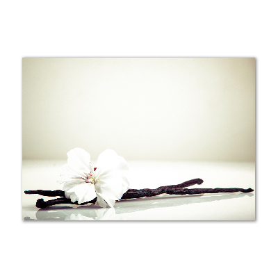 Obraz zdjęcie szkło akryl Laska wanilii