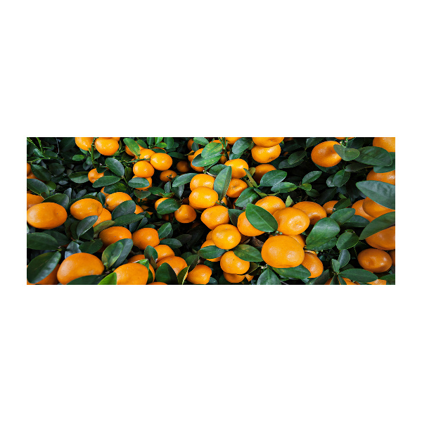 Foto en metacrilato horizontal Mandarinas