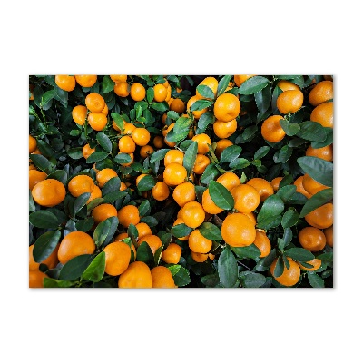 Foto en metacrilato horizontal Mandarinas