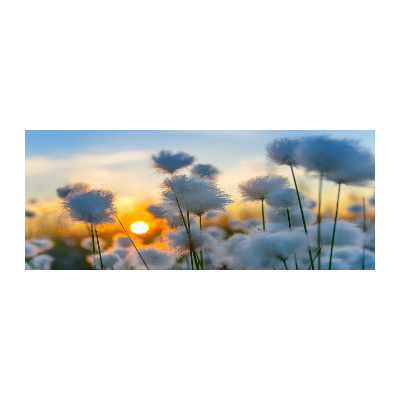 Cuadro acrílico horizontal Hierba de algodón