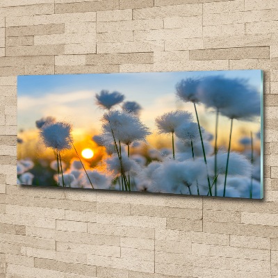 Cuadro acrílico horizontal Hierba de algodón