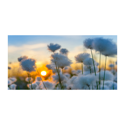 Cuadro acrílico horizontal Hierba de algodón