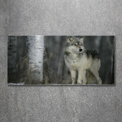 Cuadro metacrilato horizontal Lobo gris