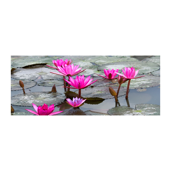 Cuadro metacrilato horizontal flor de loto