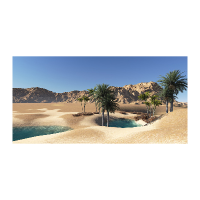 Cuadro metacrilato horizontal Oasis