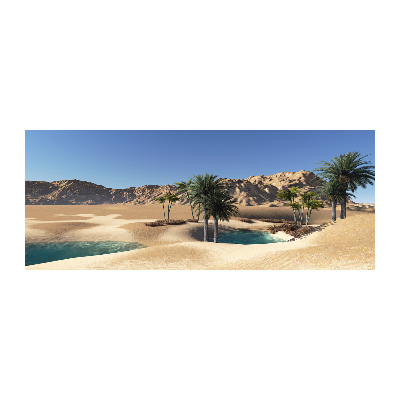 Cuadro metacrilato horizontal Oasis